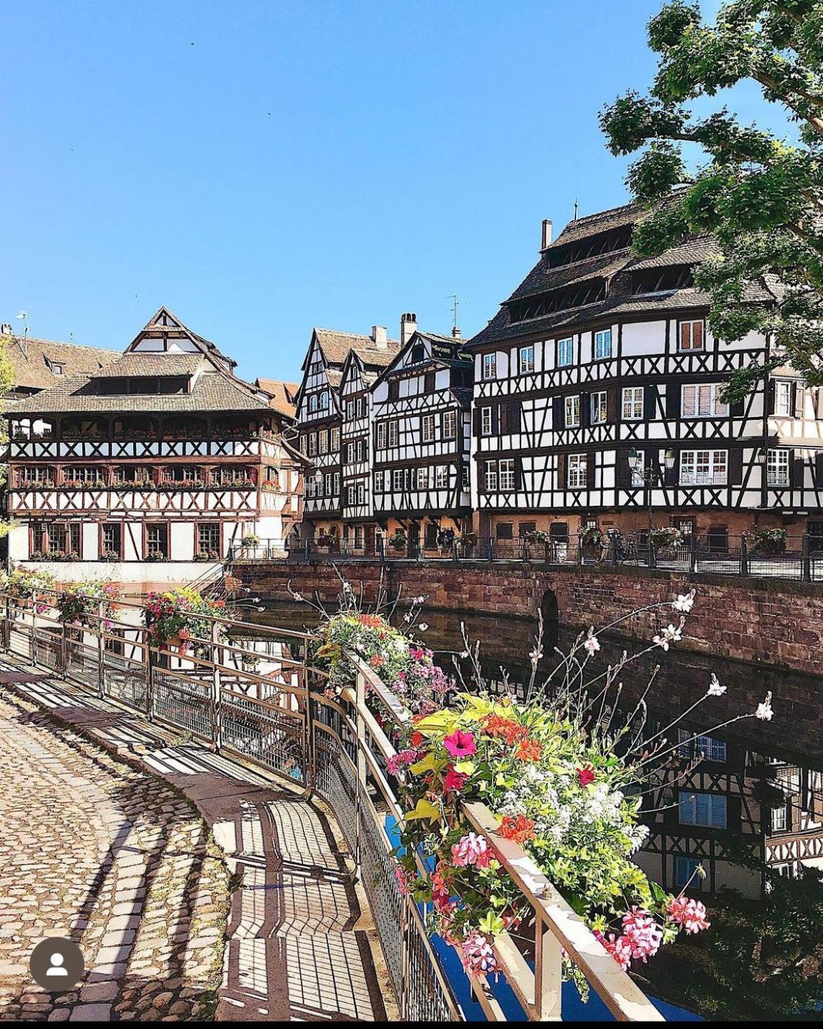 Appartement Calme Avec Balcon, A 4Km Du Centre, Parking, Wi-Fi, Netflix Gratuit Strasbourg Exteriör bild